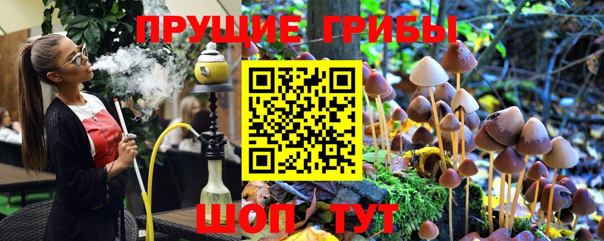 Галлюциногенные грибы Magic Shrooms Гусь-Хрустальный